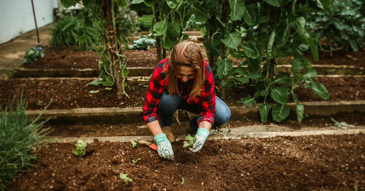 Une femme s'occupant de son jardin potager bio, promouvant l'agriculture durable.